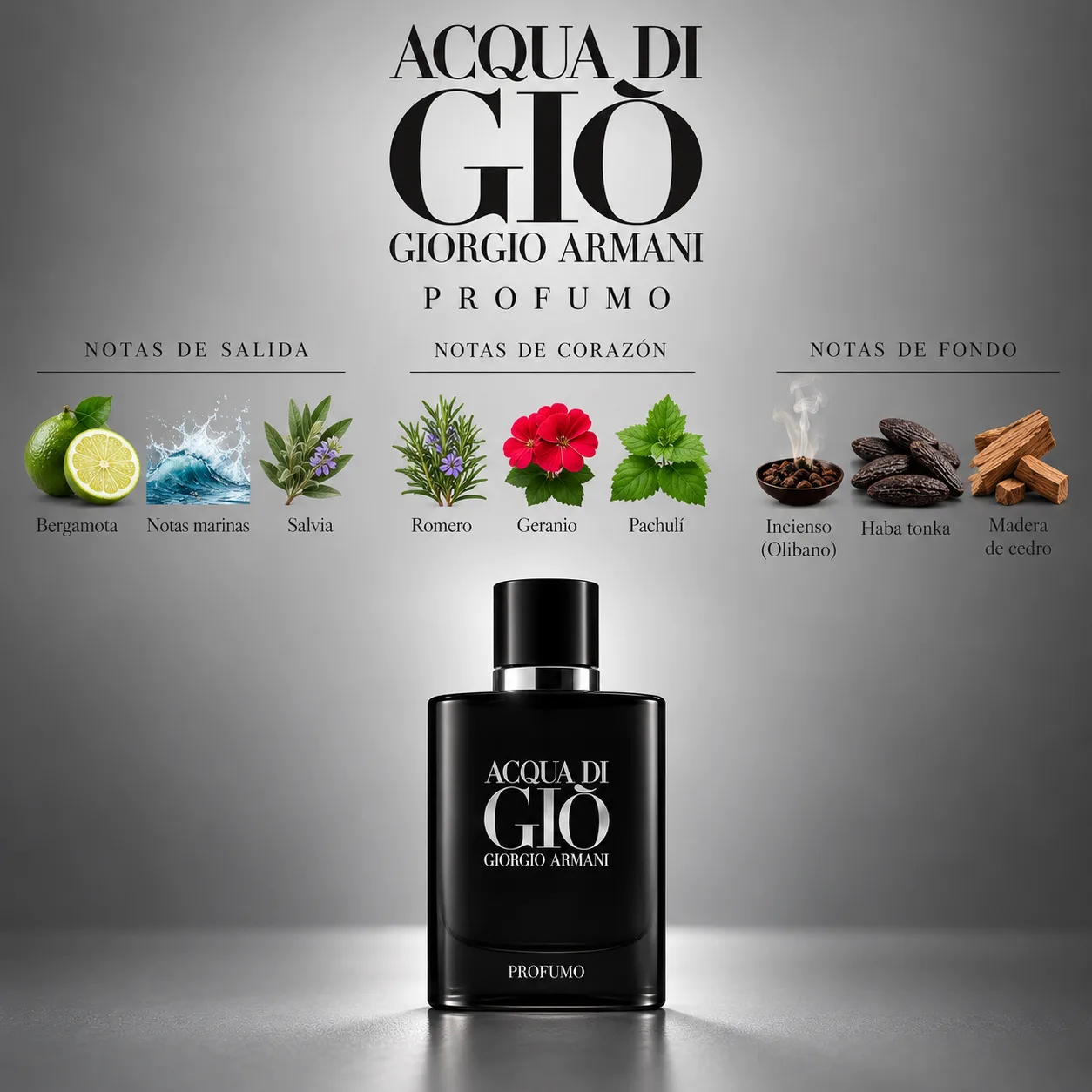 Acqua di Giò Profumo · vista 3