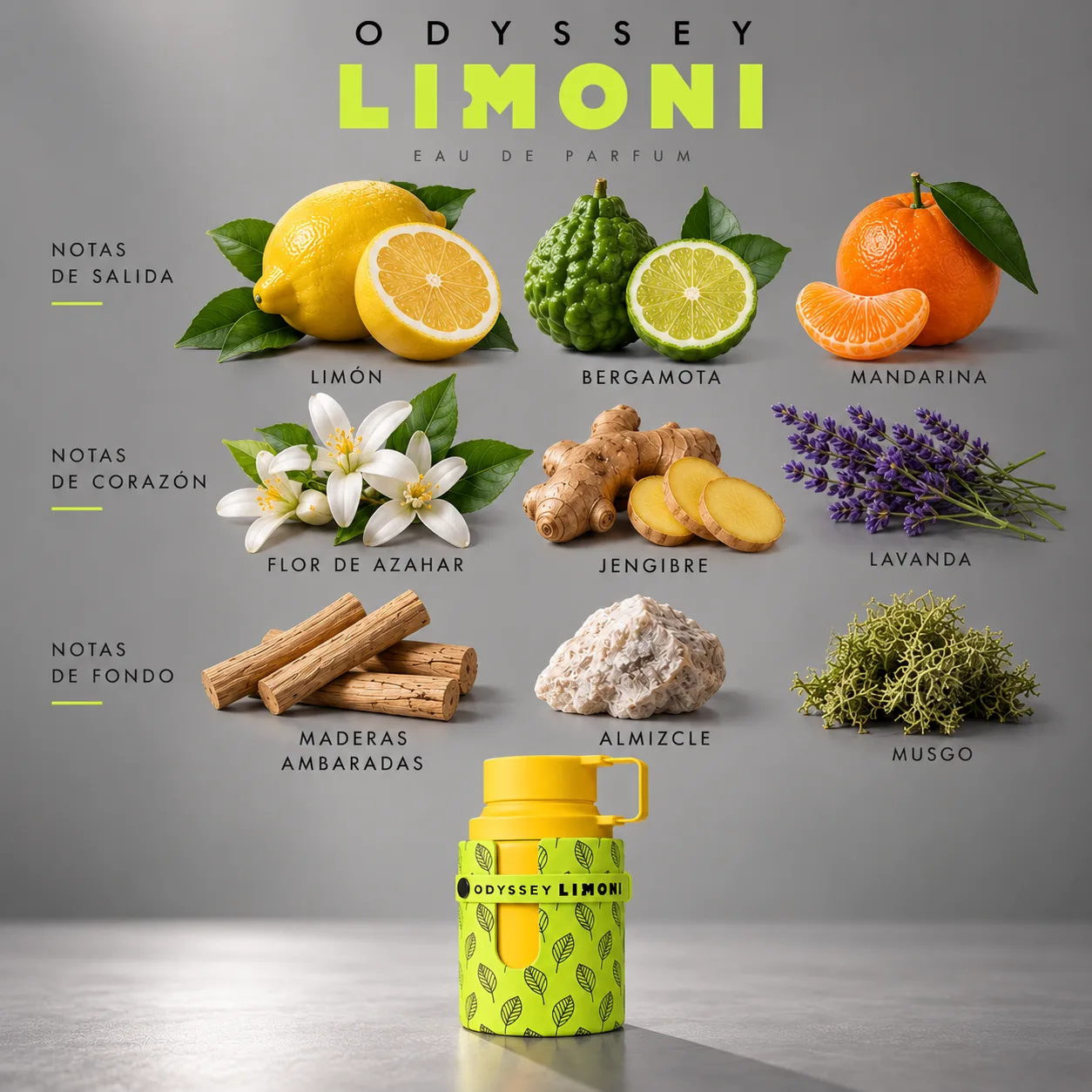 Odyssey Limoni · vista 3